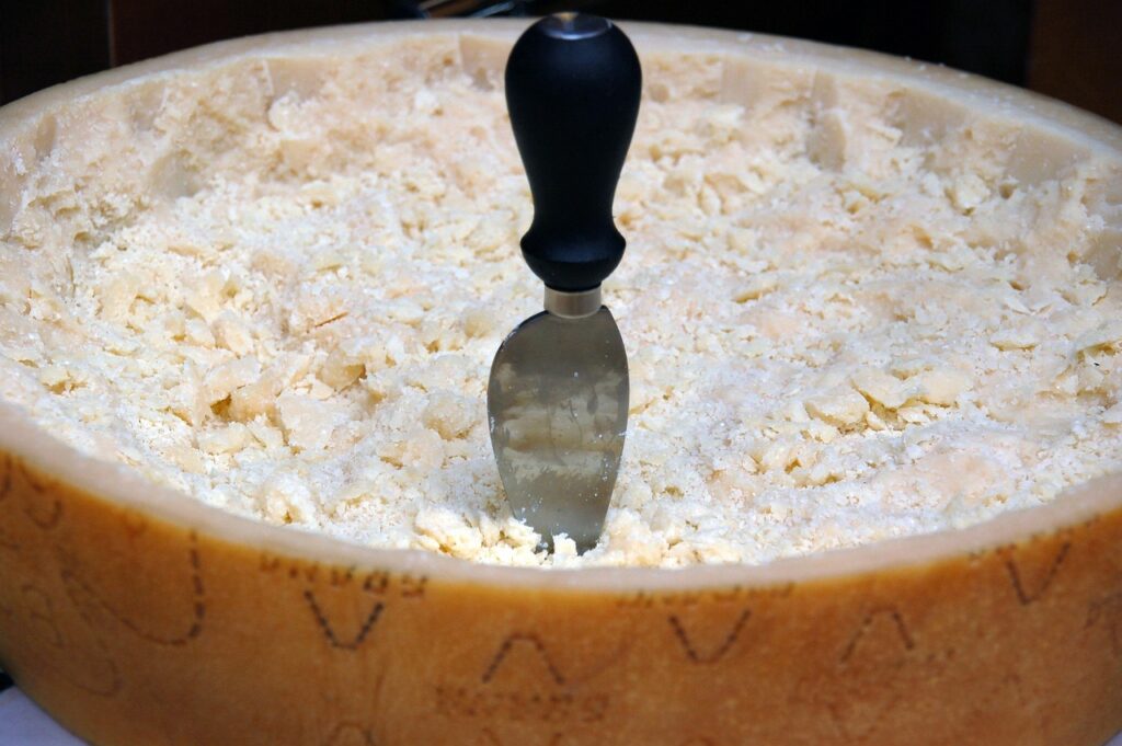 grain, cheese, form, parmigiano-reggiano, parmigiano-reggiano, parmigiano-reggiano, parmigiano-reggiano, parmigiano-reggiano, parmigiano-reggiano